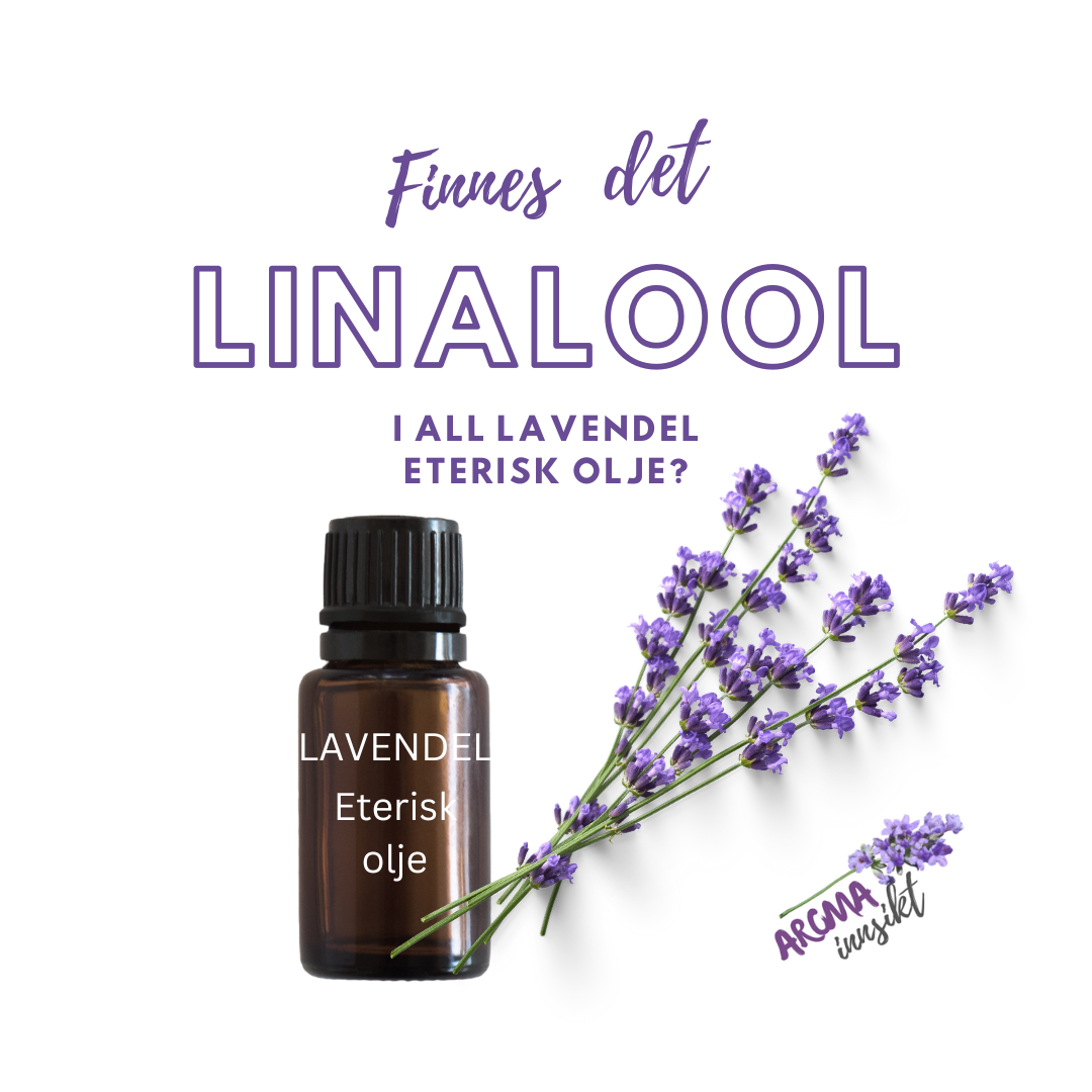 Linalool i Lavendel