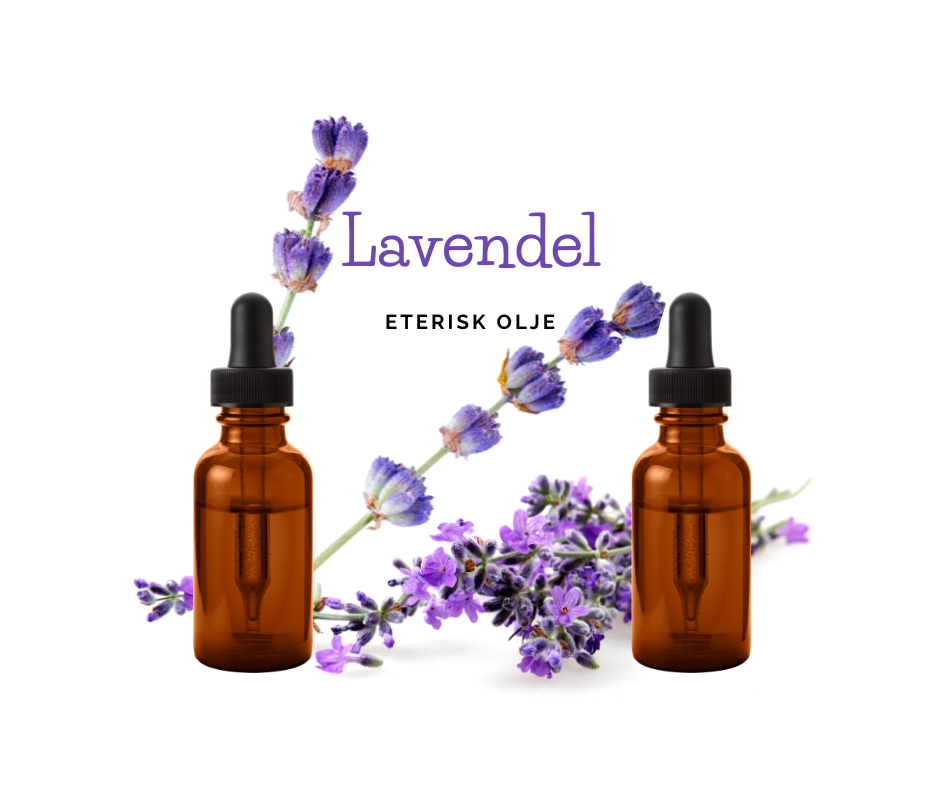 LAVENDEL