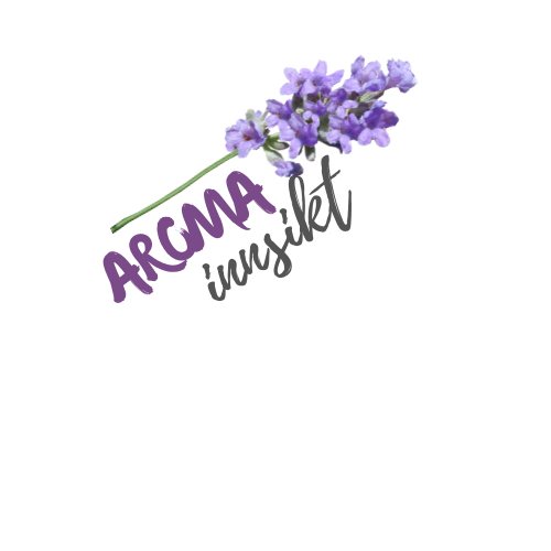 AROMAINNSIKTkurs